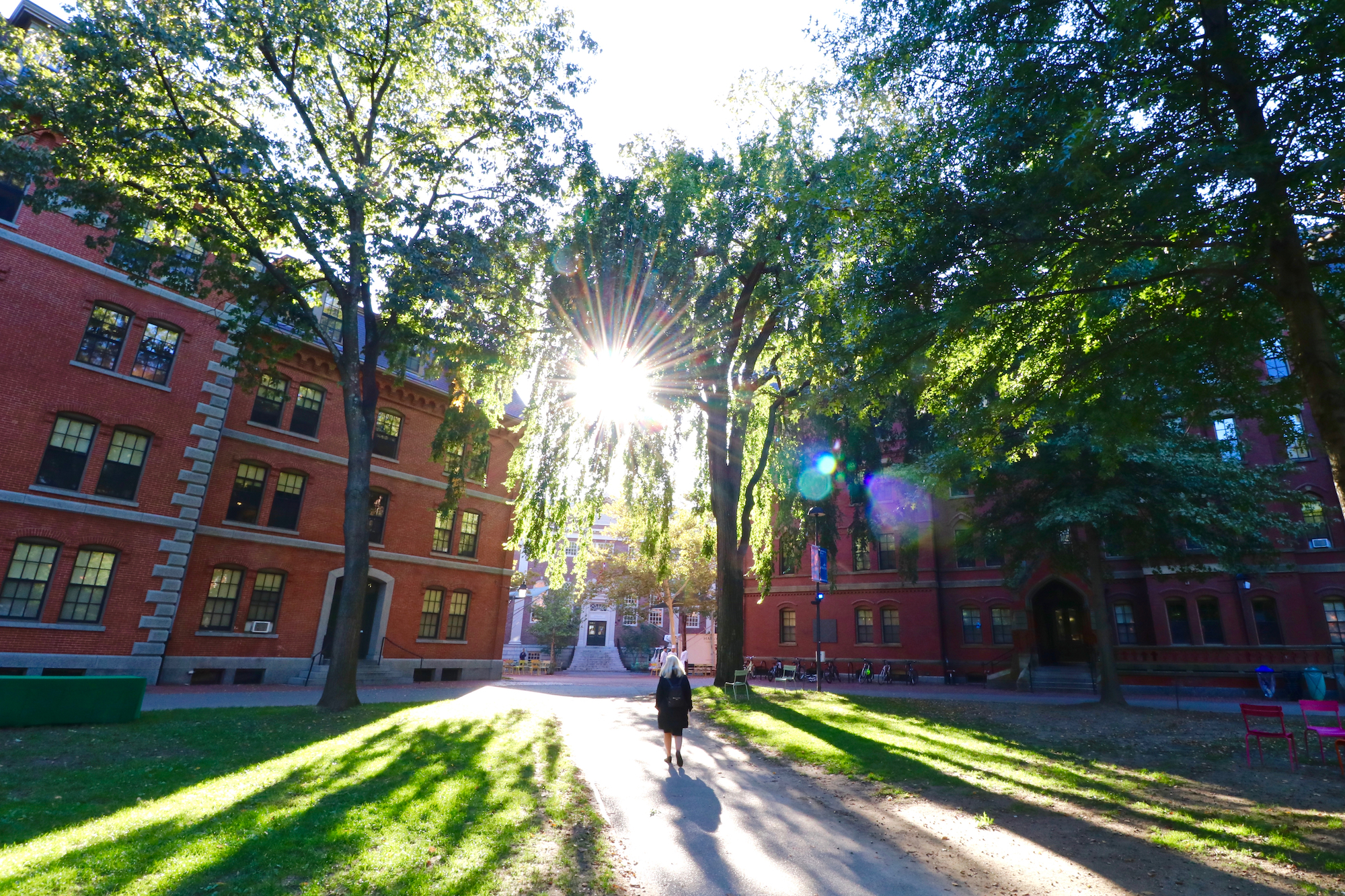 photo of yard in autumn