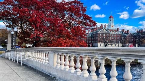 The weeks bridge on a fall day framed by deep red fall foliage tree and view of Dunster House.
