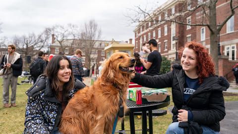Students in the Quad sit on bences and pet s dog during a Yardfest block party.