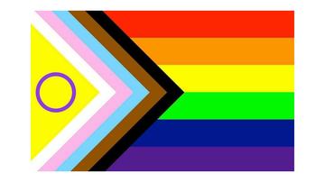 The pride progress flag.