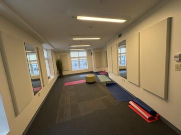 A photo of the wellness room at the Adams House Inn with mirrors, windows, plants, and yoga mats.