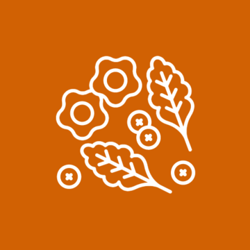 nutrition iccon