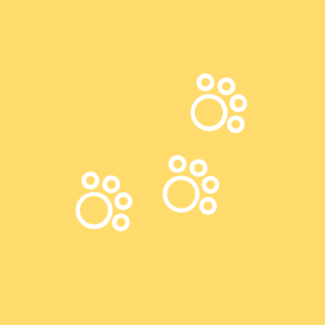 paw print icon