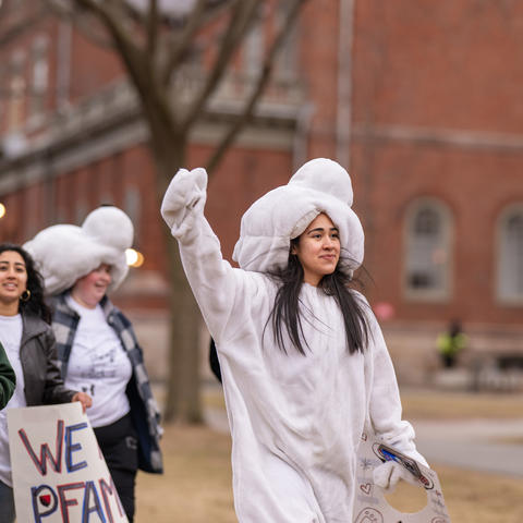 A student from Pforzheimer House dressed as a polar bear leads her House mates into the Yard for Housing Day.
