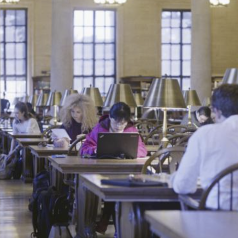 Students studying in Widener