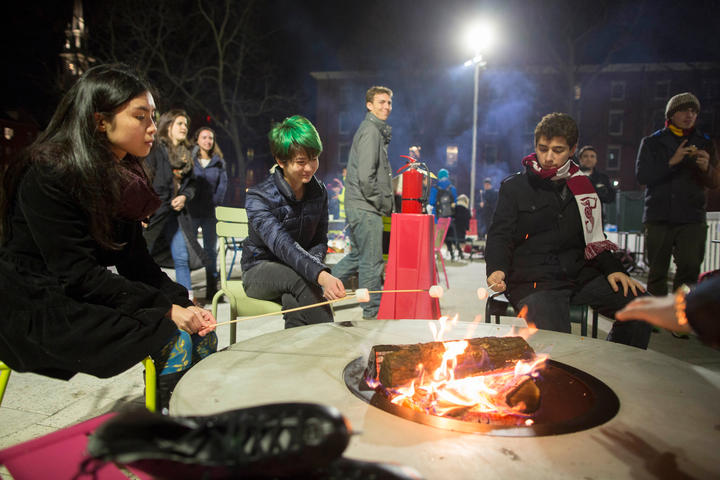 Students roasting marshmallows by a fire pit at night