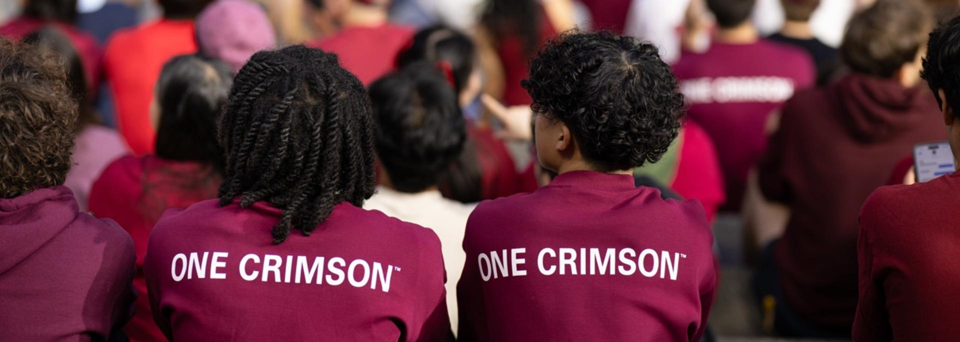 Two students wearing athletics "One Crimson" sweatshirts sit in the stands of Harvard Stadium in a crowd with their backs to the camera and the field in the distance.