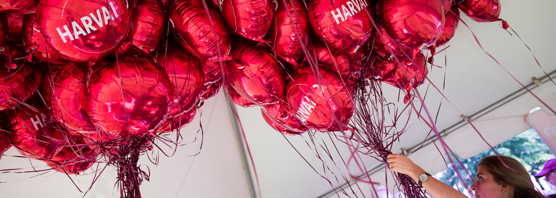Harvard Balloons